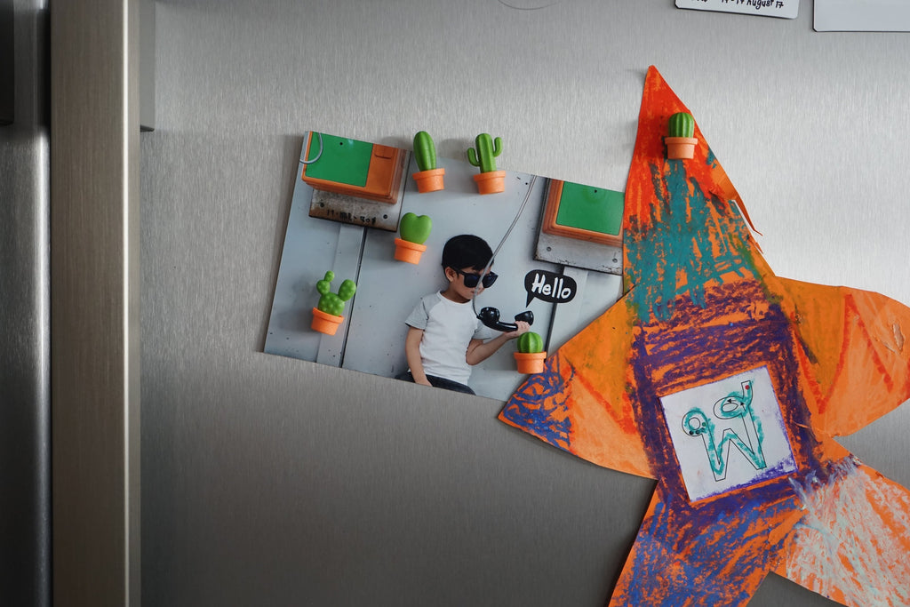 Magnets Cactus
