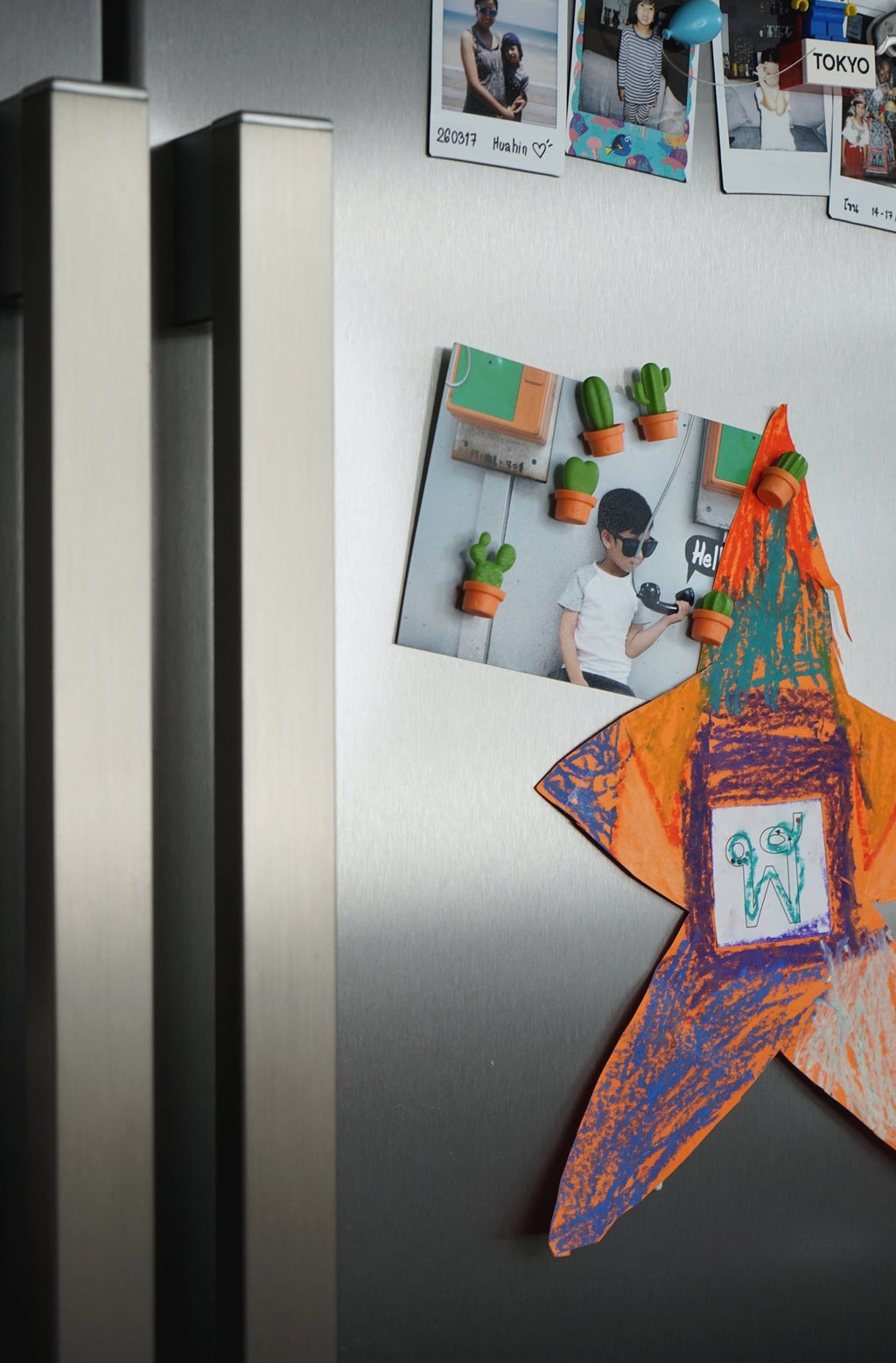 Magnets Cactus
