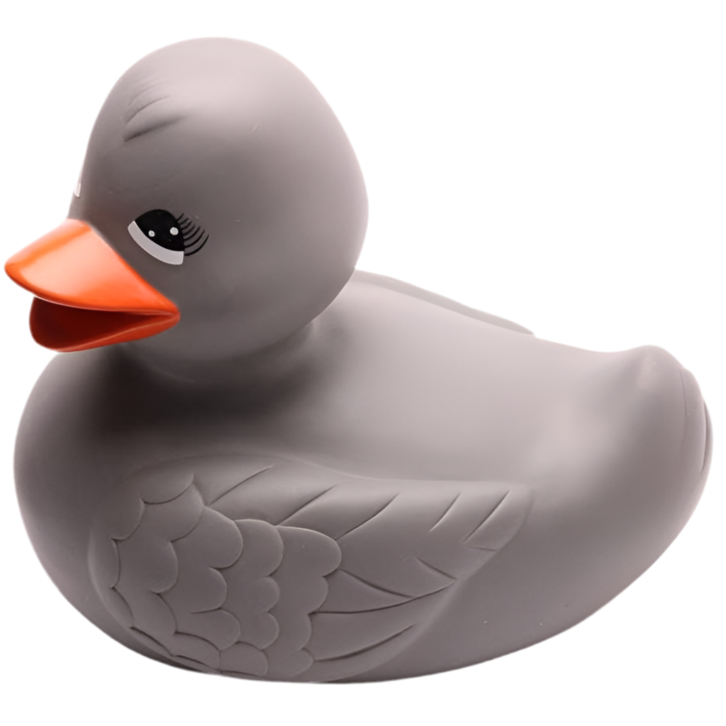 XXL Grey Duck