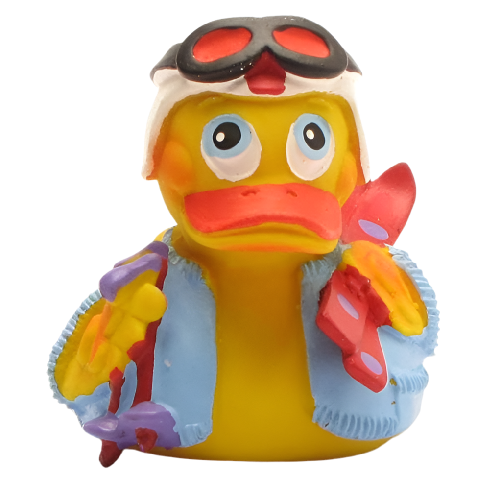Skiing Duck