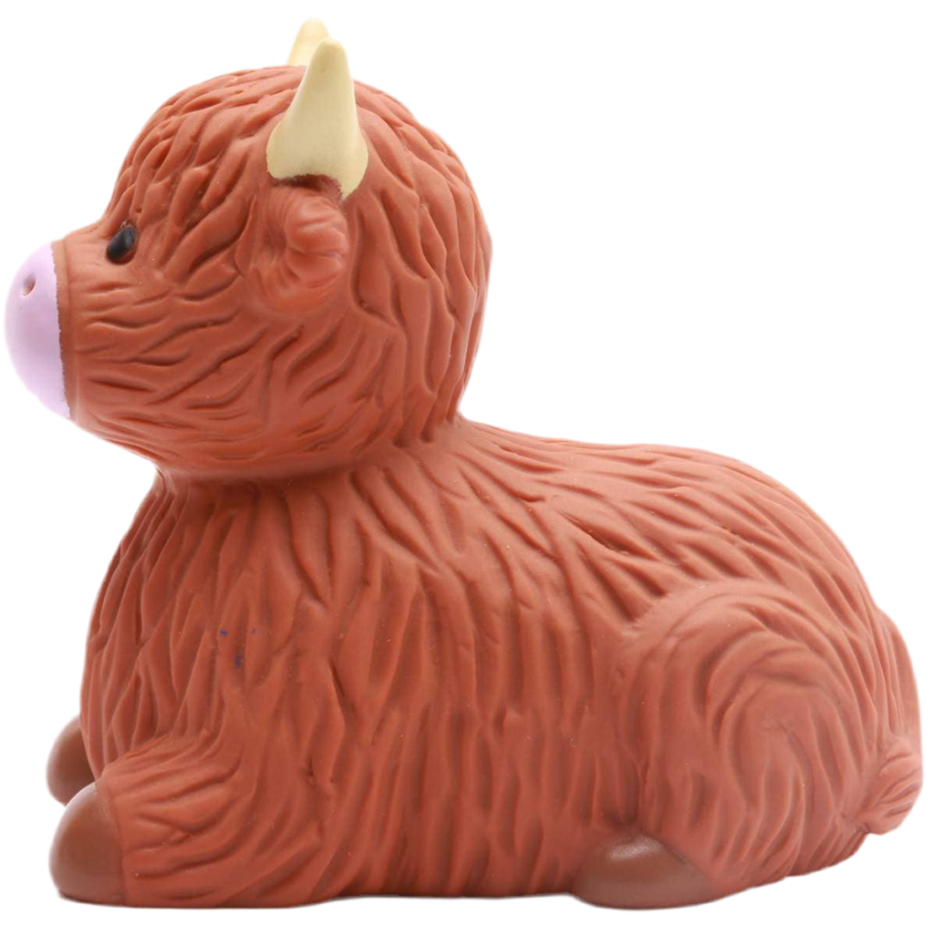 Vache des Highlands de Bain