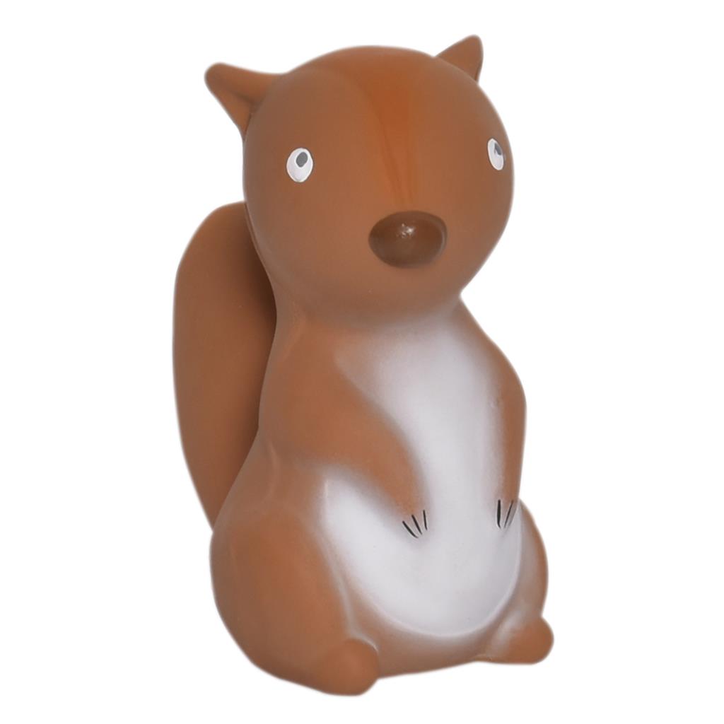 Mein erstes Arktis-Tier: Eichhörnchen