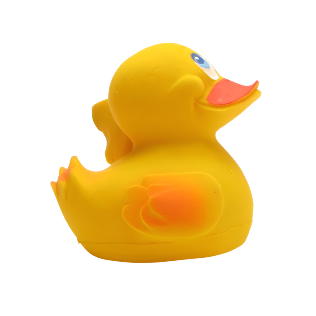 Canard Allemagne