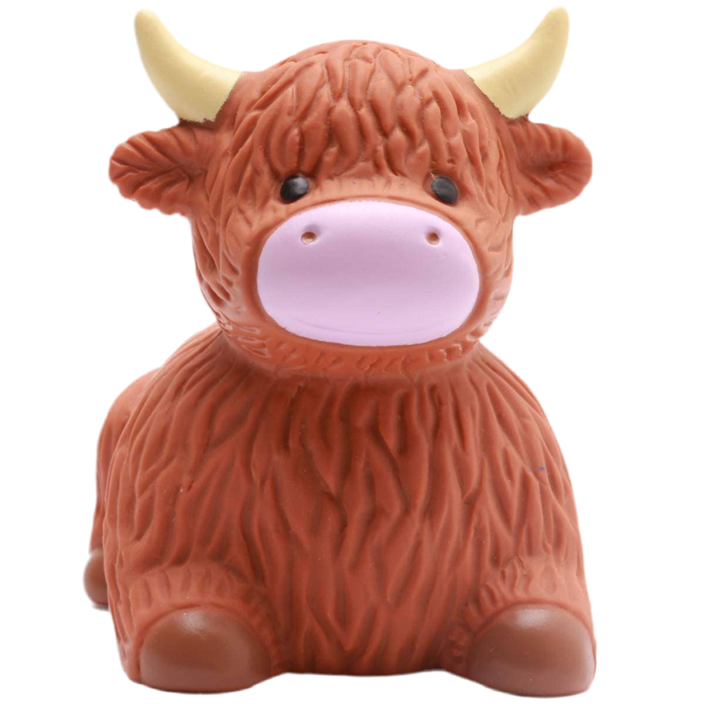 Vache des Highlands de Bain