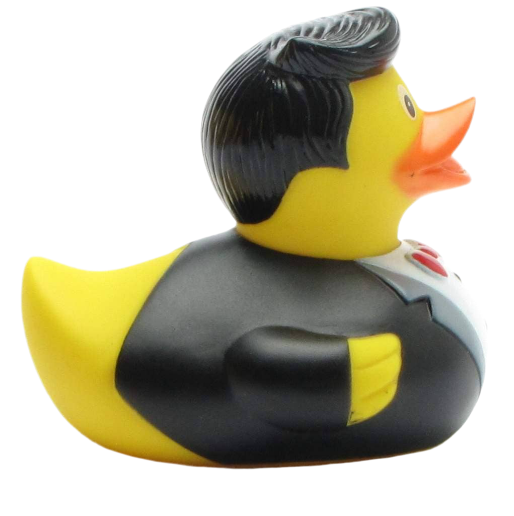 Canard Cavalier de Bal