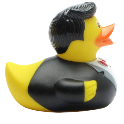 Canard Cavalier de Bal