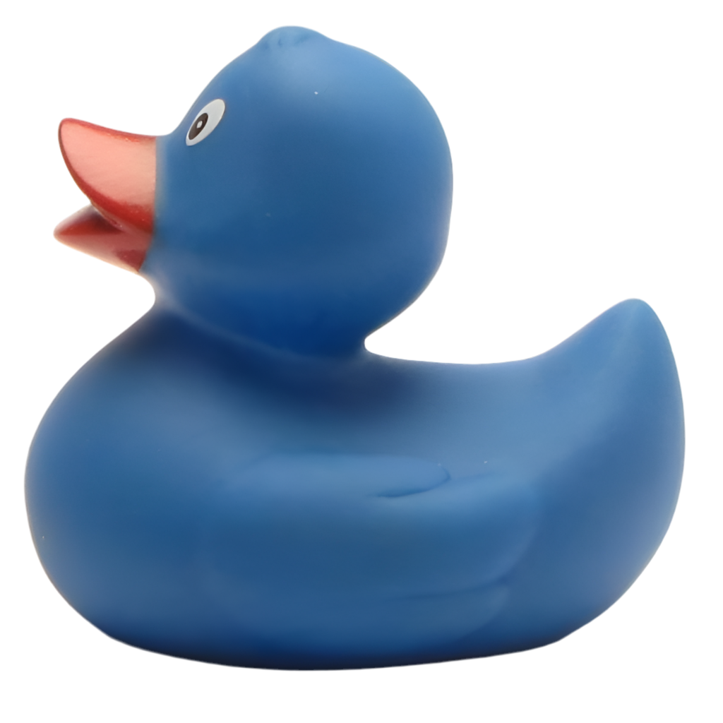 Classic Blue Duck