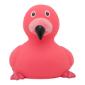 canard-flamant-rose-1