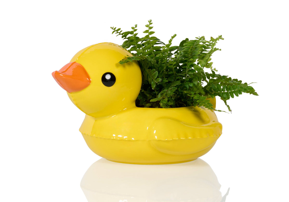 Pot Floaty Canard – Bitten