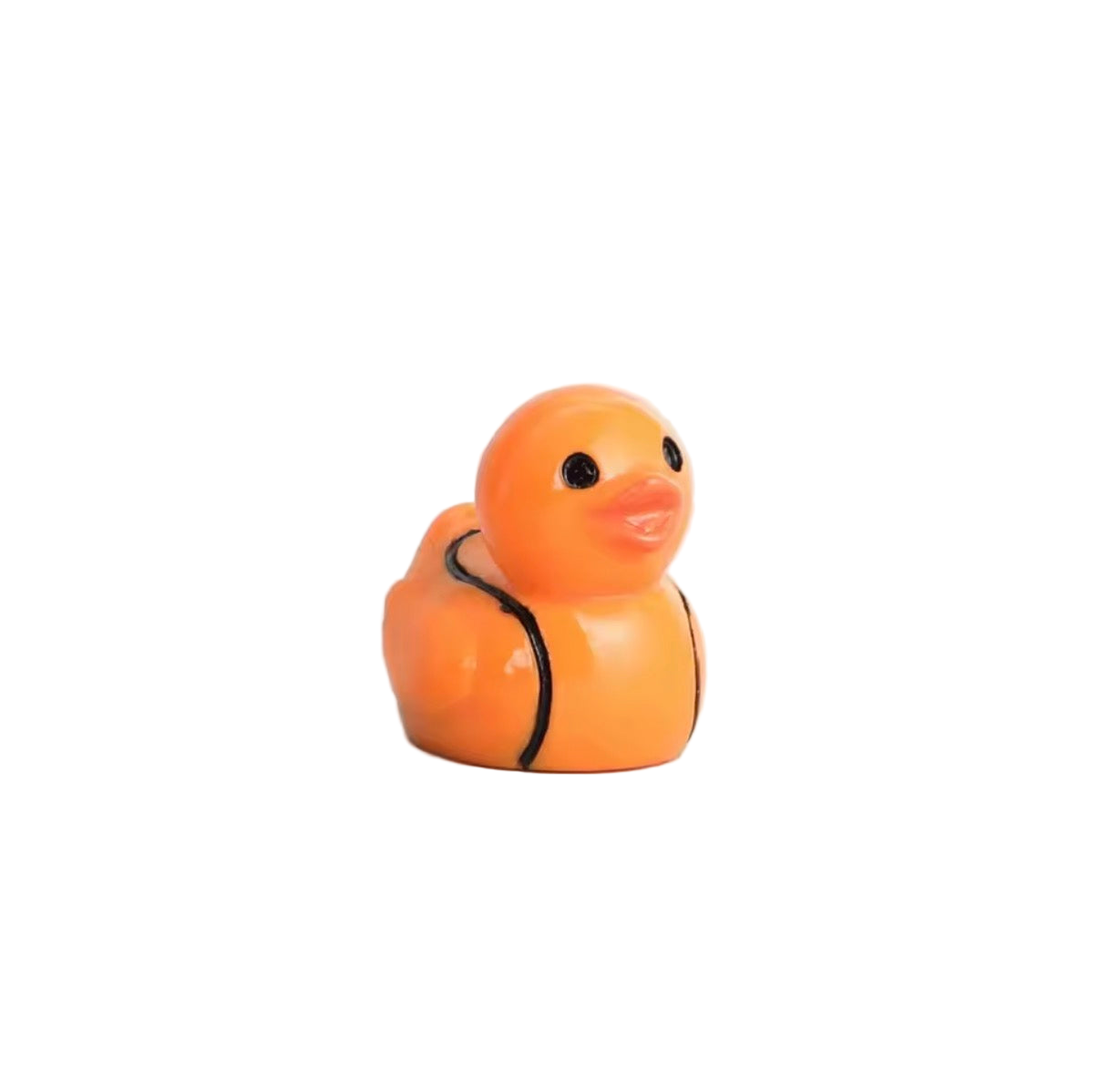 Minis Canards Sportifs