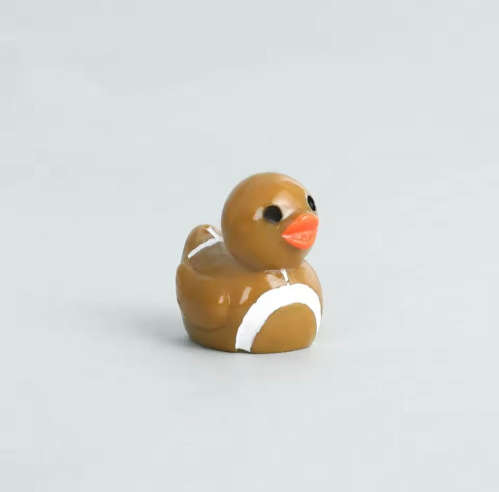 Minis Canards Sportifs
