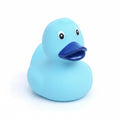 Canard Classique