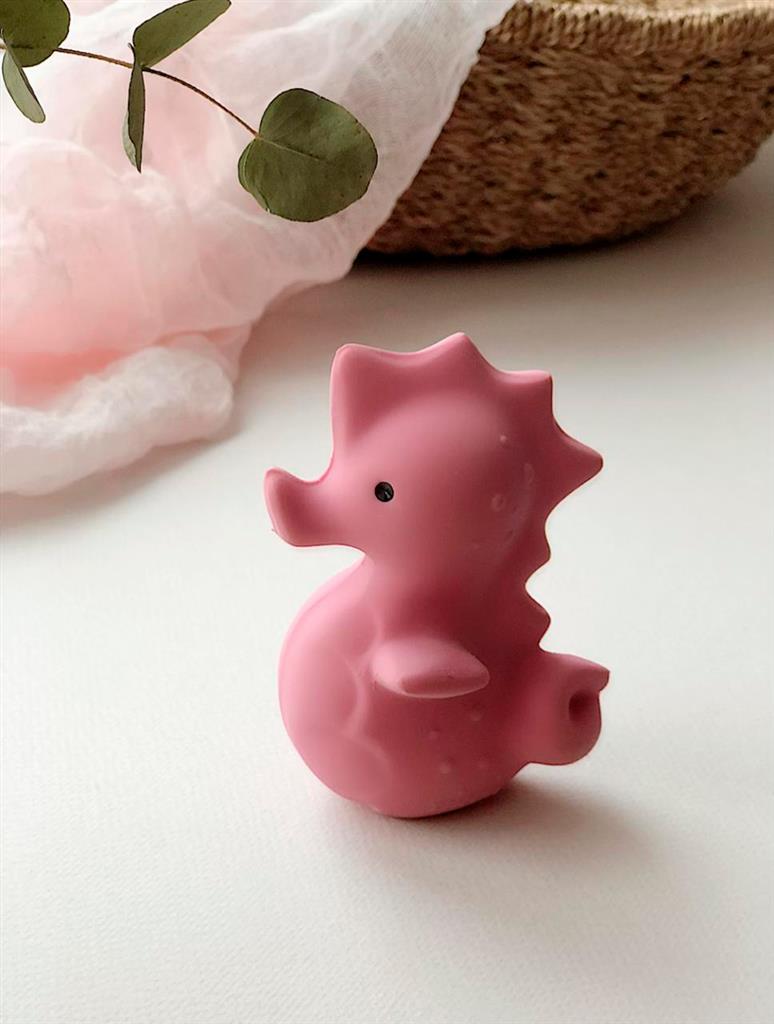 Mon Premier Animal Marin Hippocampe
