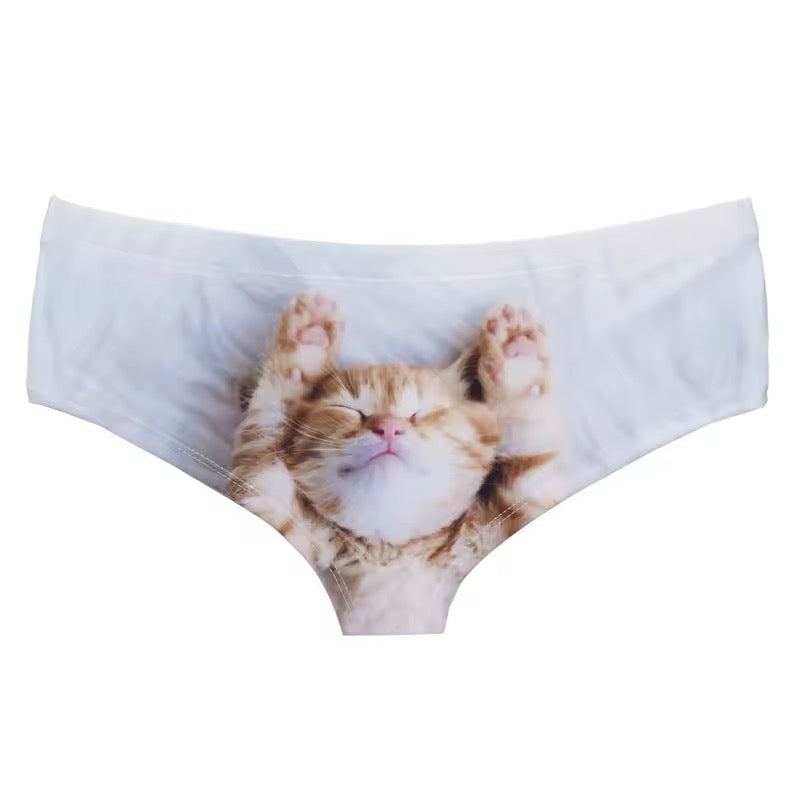 Culotte Chat “I’m Cute, Pet Me”