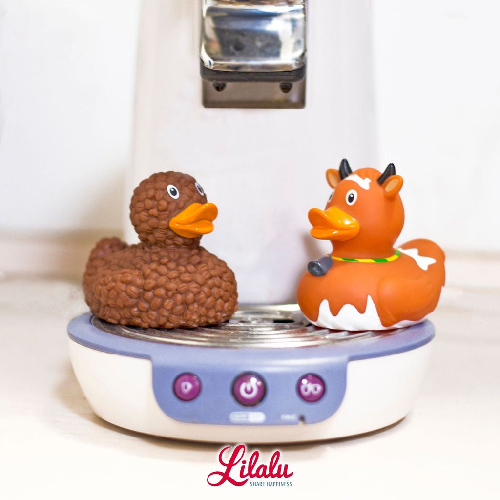 Coffee Duck