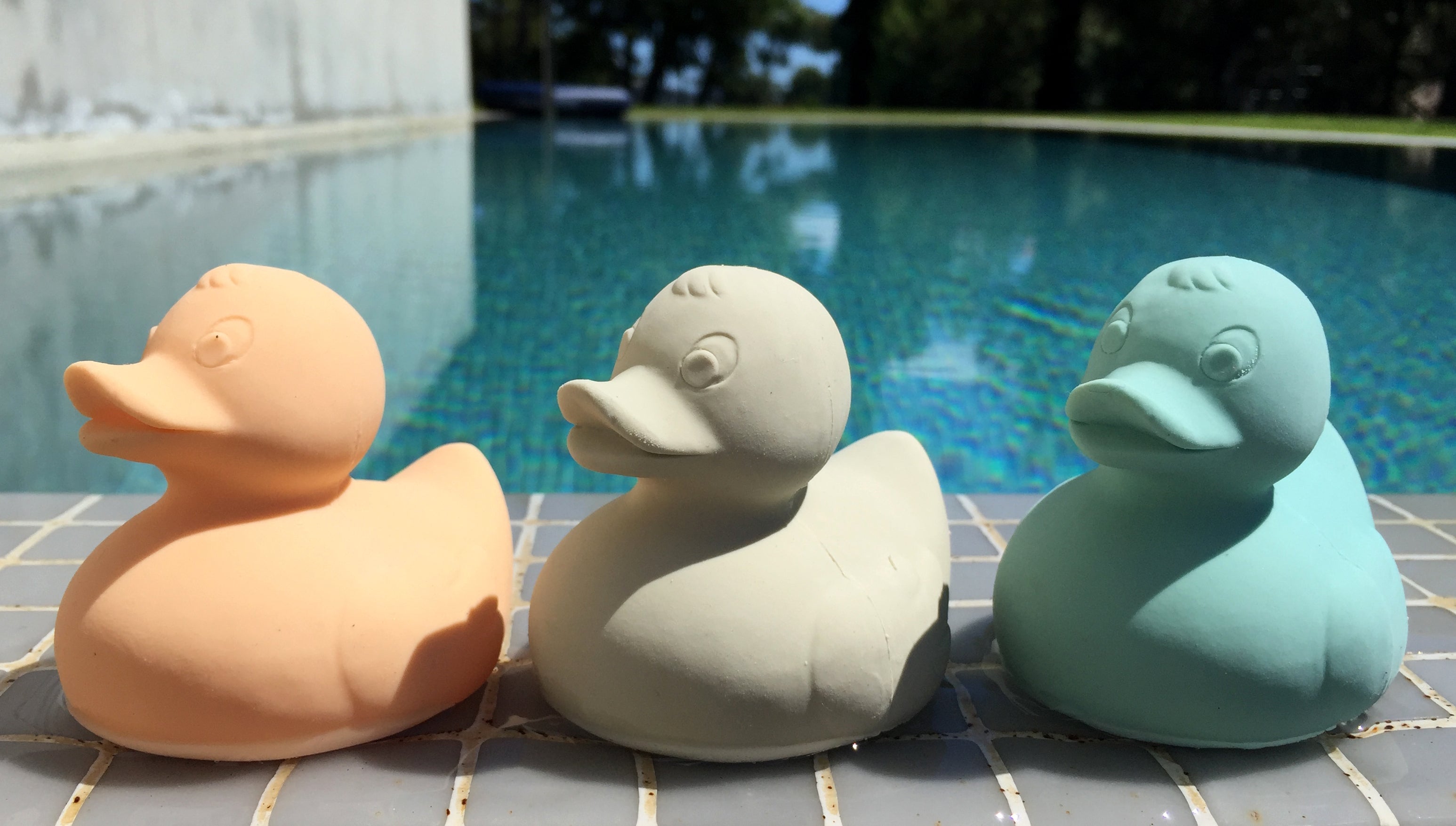 Produit Elvis Le Canard Gris Maison