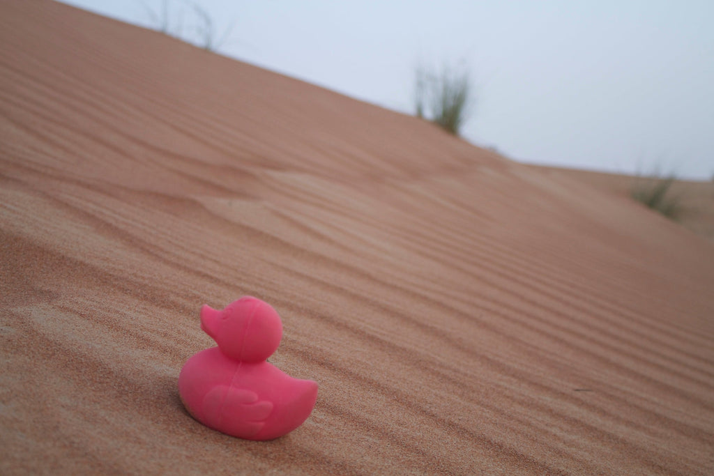 Produit Elvis Le Canard Rose Maison