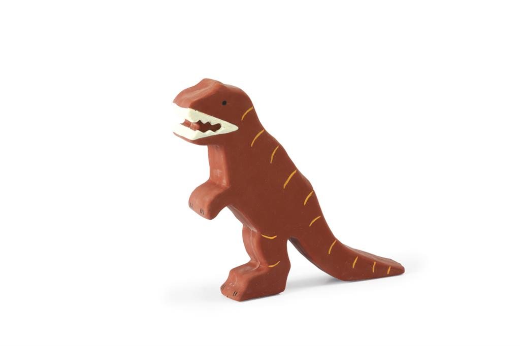Meine ersten Dinosaurier