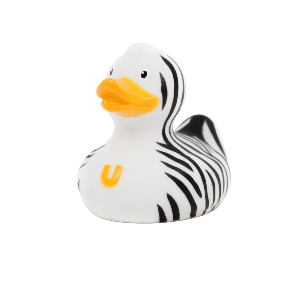 Mini Canard Zebre