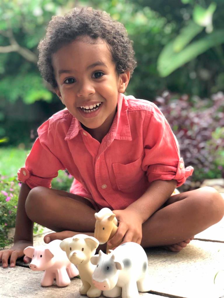 Mon Premier Animal de Ferme Cochon