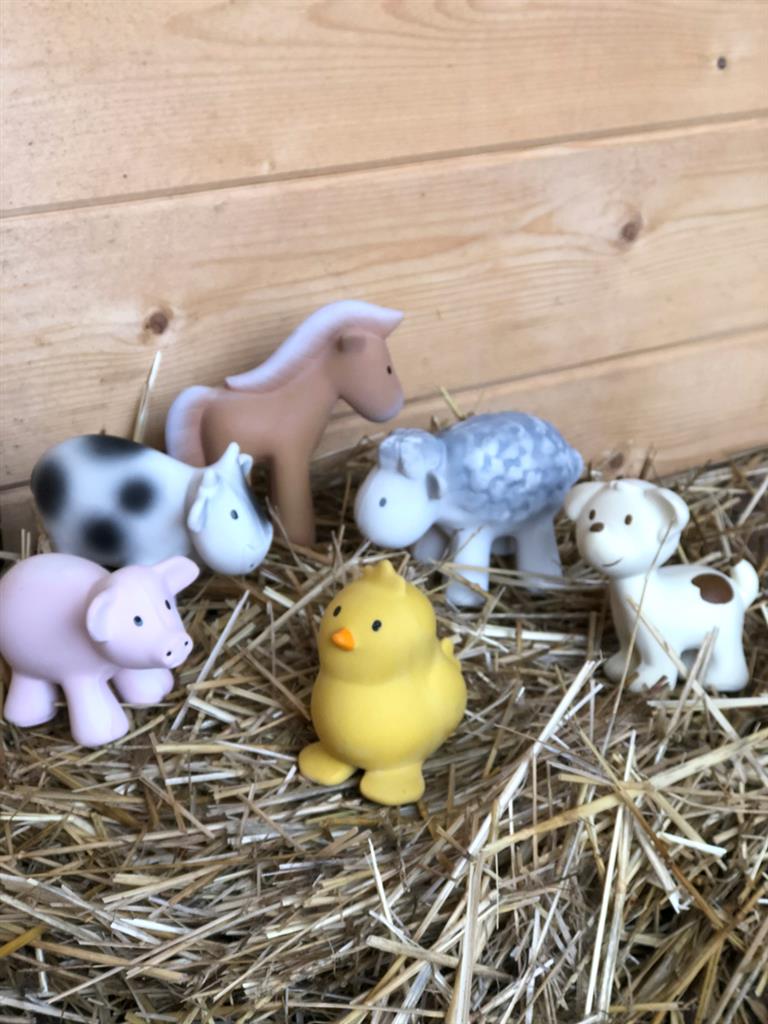 Mon Premier Animal de Ferme Cheval