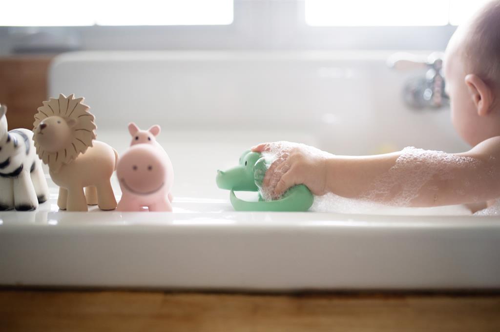 Meine ersten Zootiere