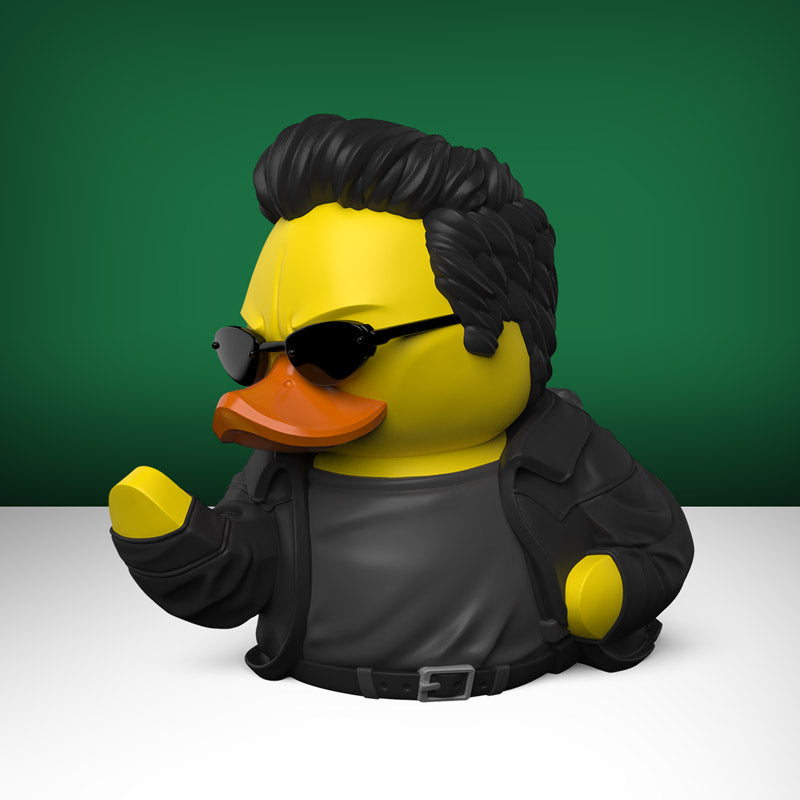 Canard Neo