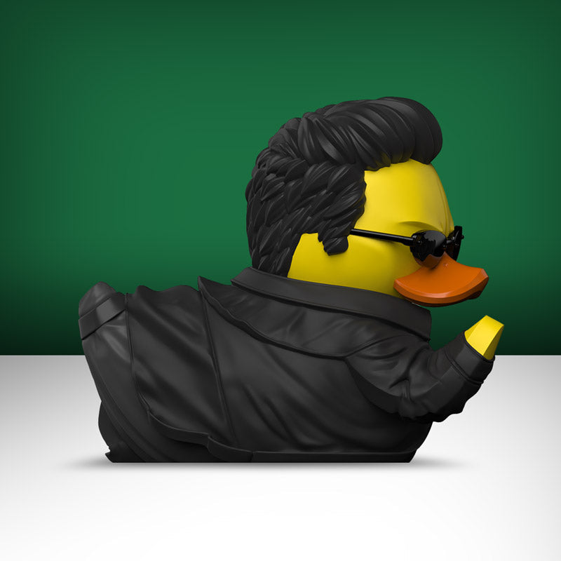 Canard Neo (First Edition) - vue 5