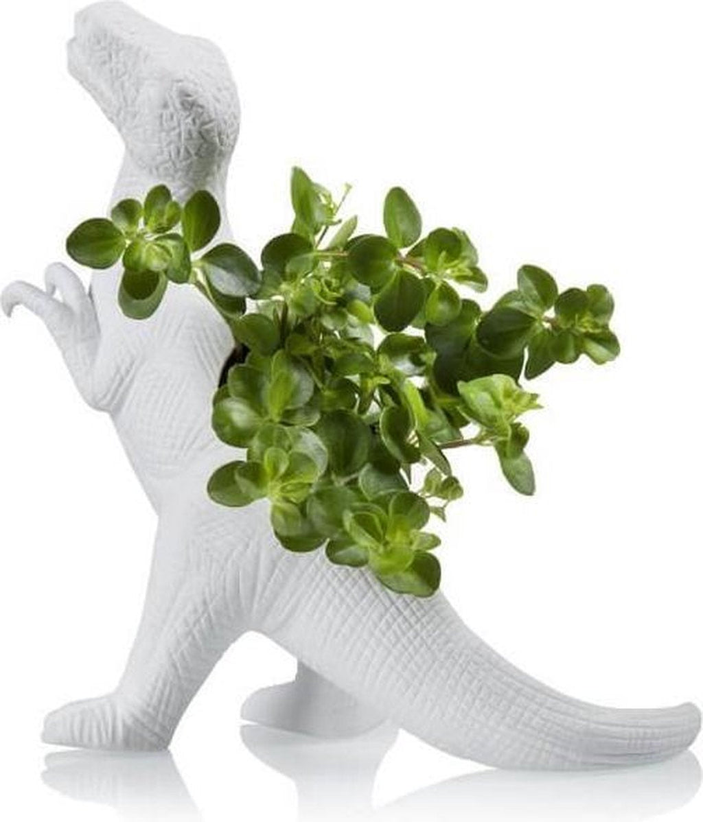 Blumentopf Dinosaurier Plantosaurus Rex