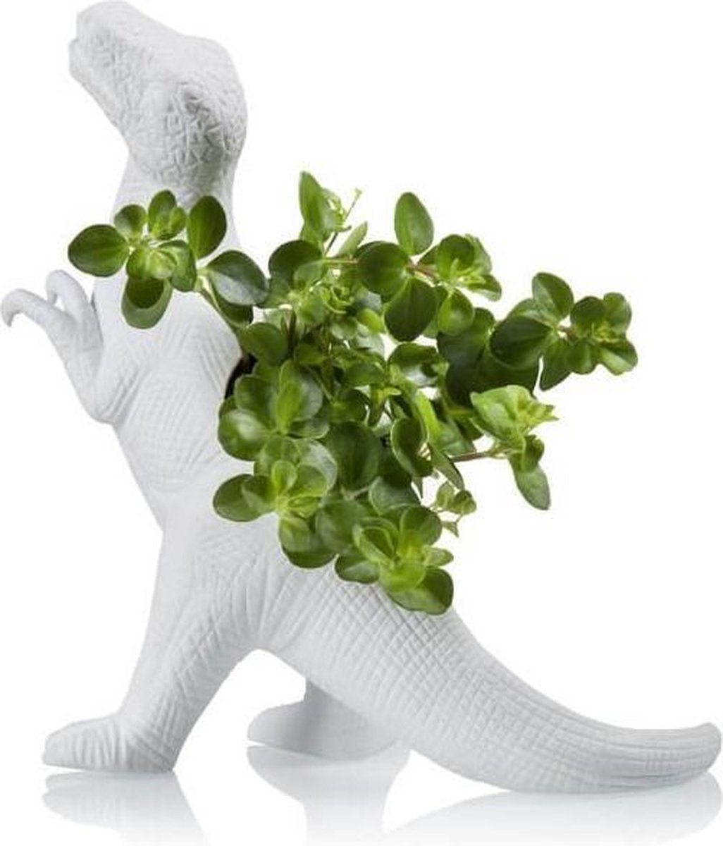 Blumentopf Dinosaurier Plantosaurus Rex
