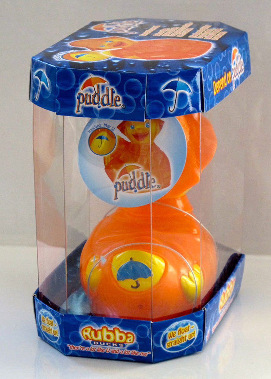 canard-temps-de-pluie