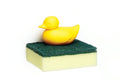 Eend sponshouder