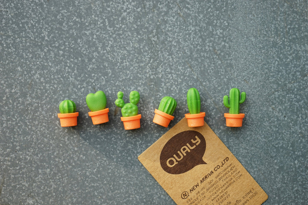 Magnets Cactus