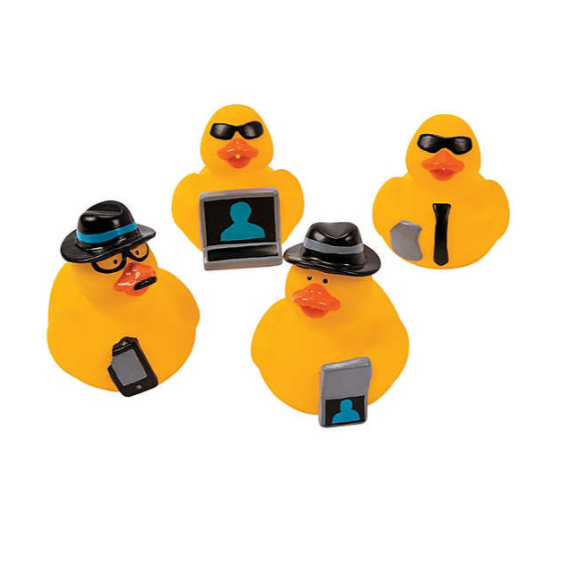 mini-canards-espions-lg-import