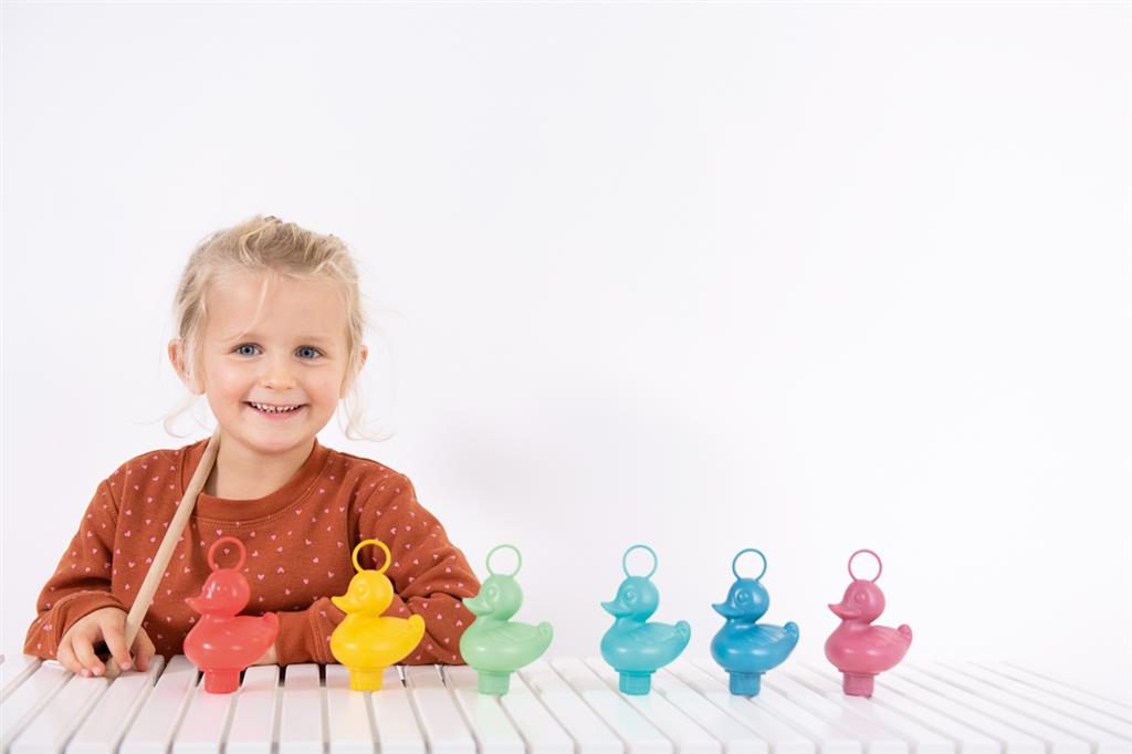 Vissende eendenkast - koraal