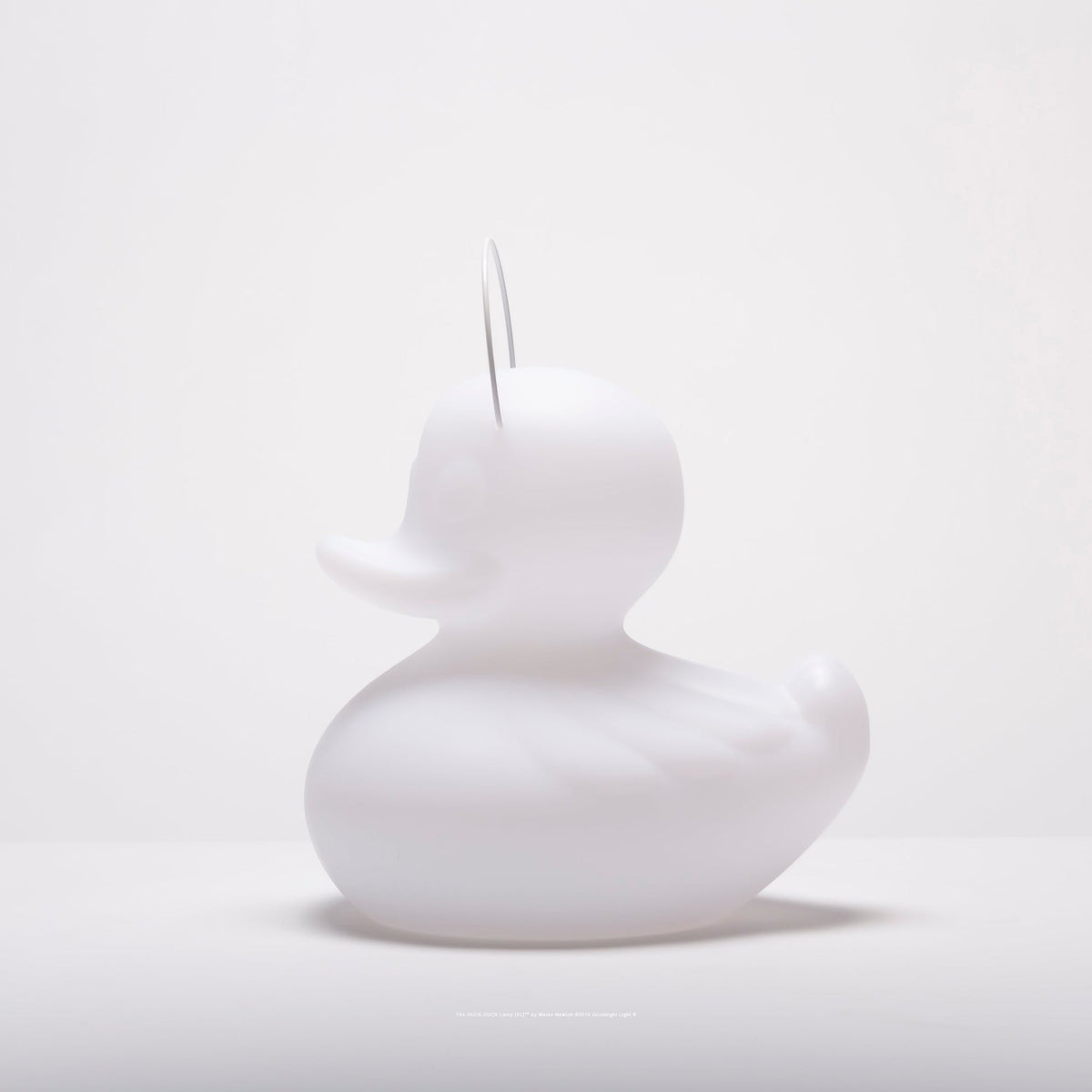 Lampe Canard DUCK-DUCK [Petite]