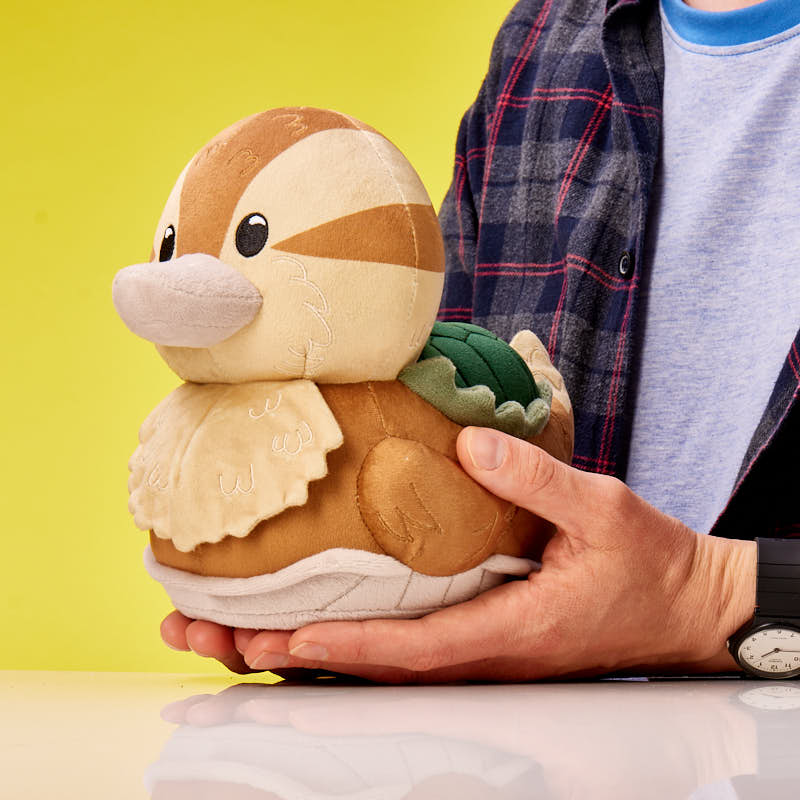 Duck Turtle (Plushie)