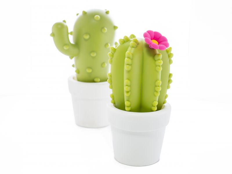 Veilleuse Cactus
