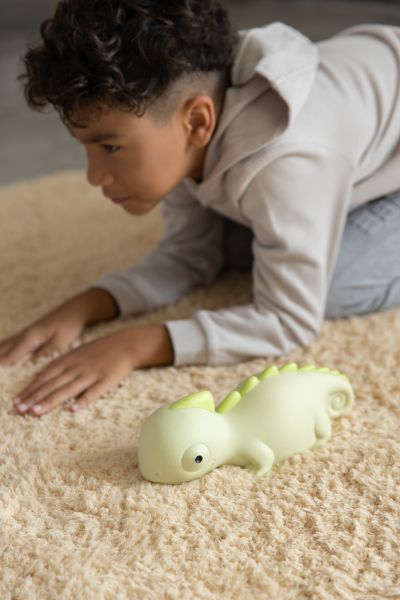 Veilleuse Caméléon