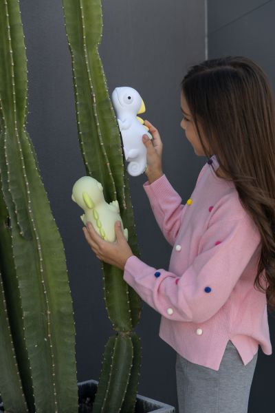 Veilleuse Caméléon Rechargeable