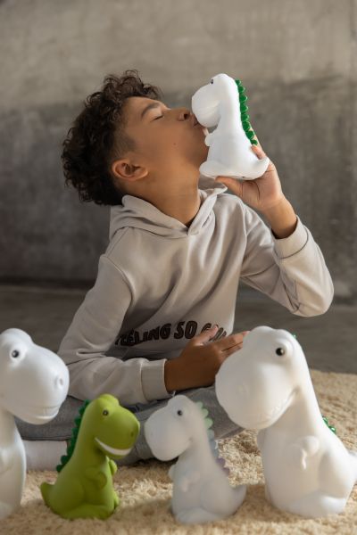 Veilleuse Dinosaure Rechargeable XL