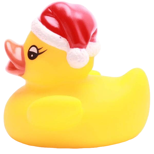 Little Christmas Duck