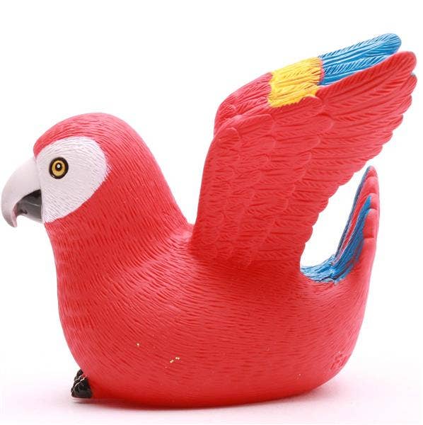 Perroquet de Bain