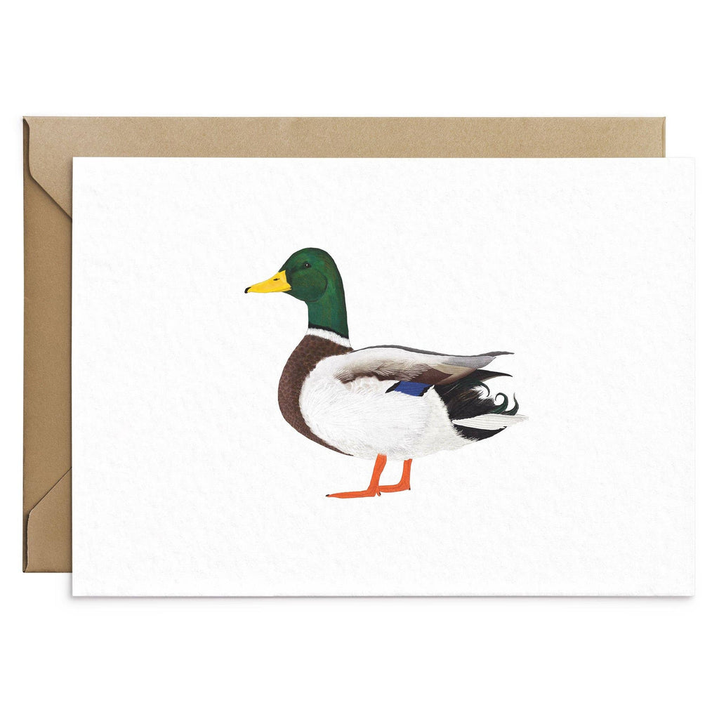 Carte de vœux Canard Colvert