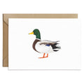 Carte de vœux Canard Colvert