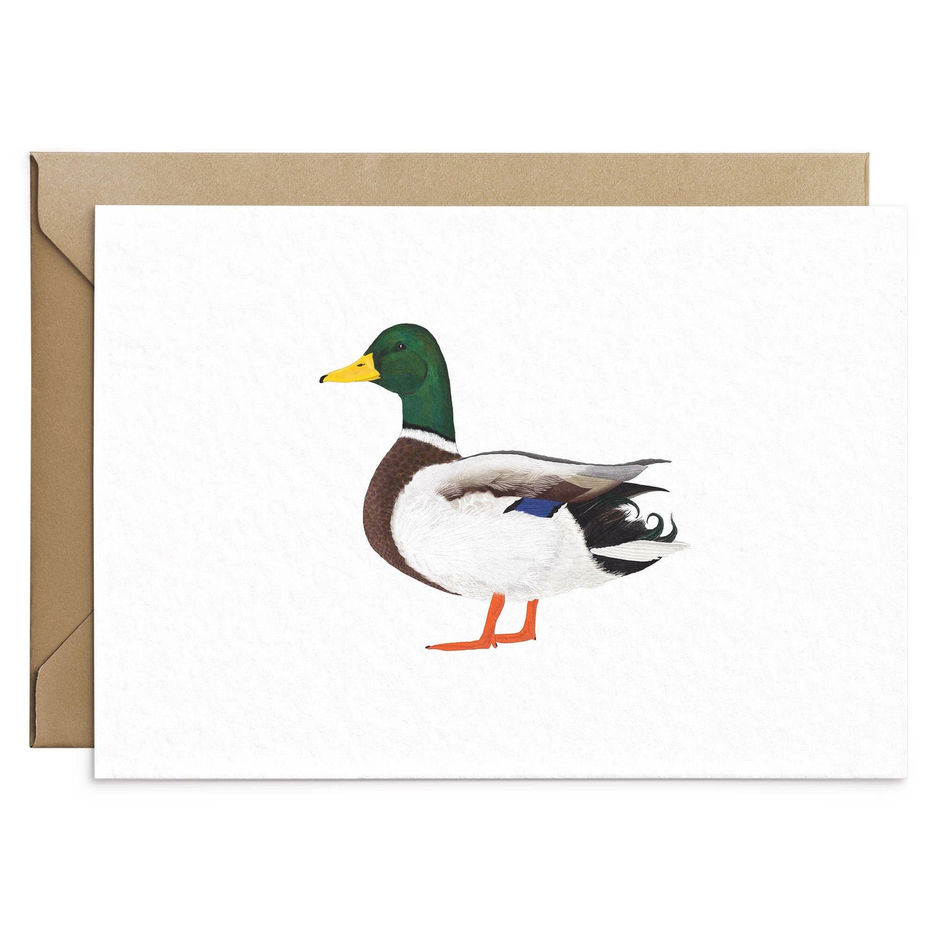 Mallard Duck Greeting Card