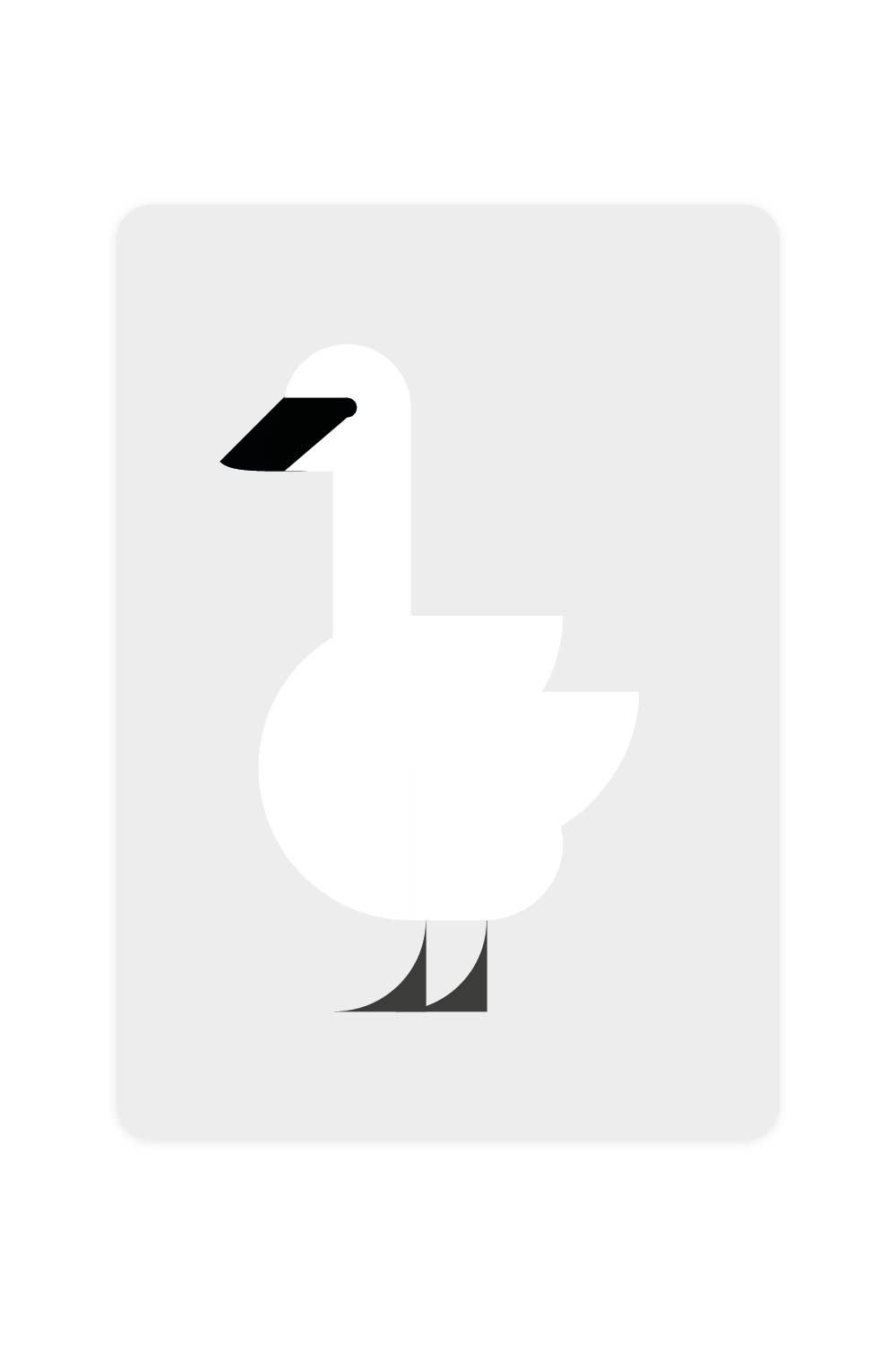 Carte postale avec cygne trompette