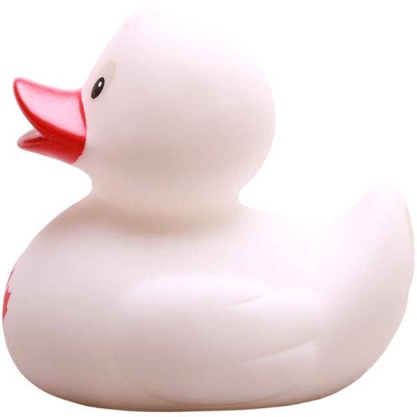 Canard Canada