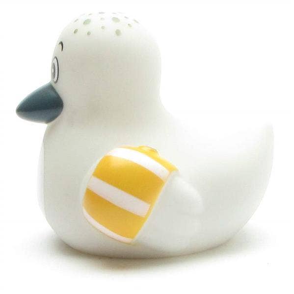 Baby Seagull