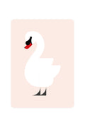 Carte postale avec cygne muet